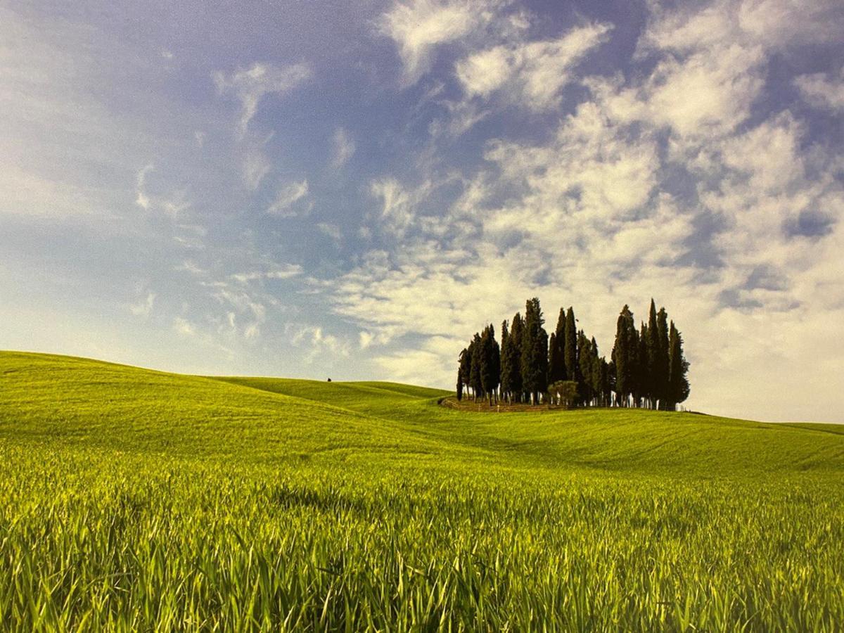 Villa La Catena Ulignano Dış mekan fotoğraf